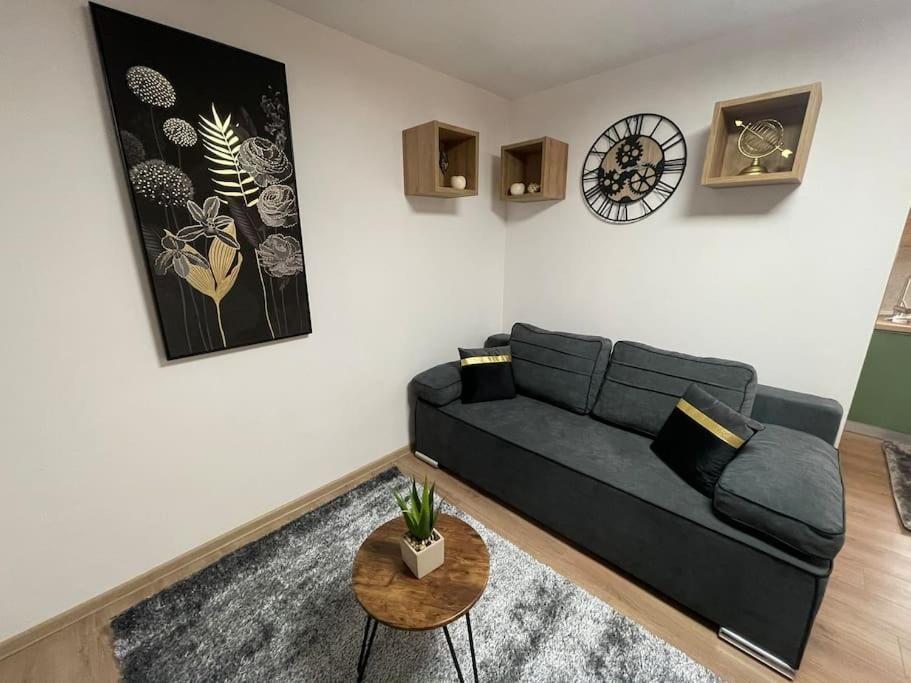 Apartman 4You: Karlo I Klara Osijek Buitenkant foto